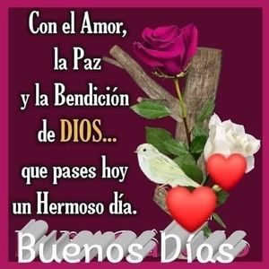 Meet your Posher, Magdalena